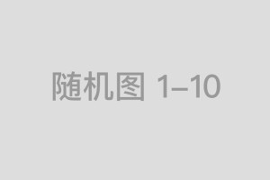 龙生九子指是什么生肖，阐释词汇释义落实